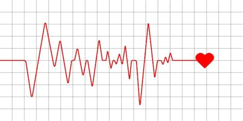 Cardiogramme Sur Fond Blanc Pouls Cardiaque Symbole Cardio Illustration