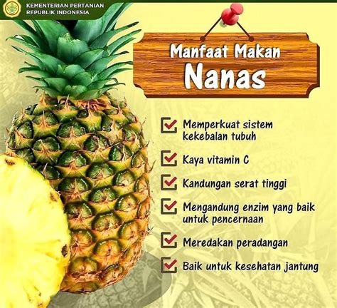 Manfaat Buah Nanas Bagi Kesehatan Homecare24