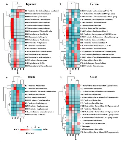 Heat Map Indicated 68 Bacterial Taxa Were Identified By Lefse Lda Download Scientific