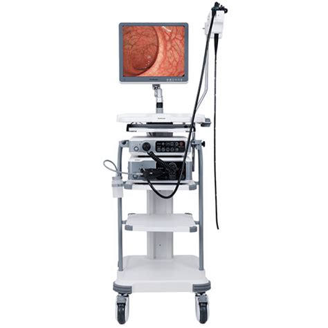 Endoscopy Machine - Global Medical Engineering (BD) Ltd