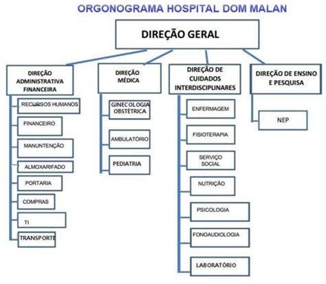 Estrutura Organizacional Hospital Dom Malan Ismep Instituto