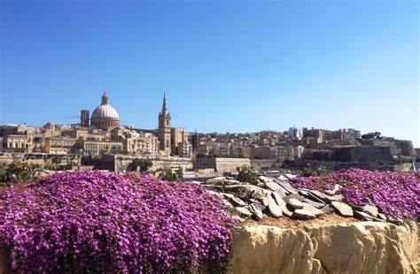 Dark Markets Malta Daeva Market Link