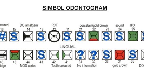 Odontogram Dentistry Muhammadiyah University Of Yogyakarta