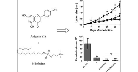 Efficacy Of Apigenin And Miltefosine Combination Therapy Against