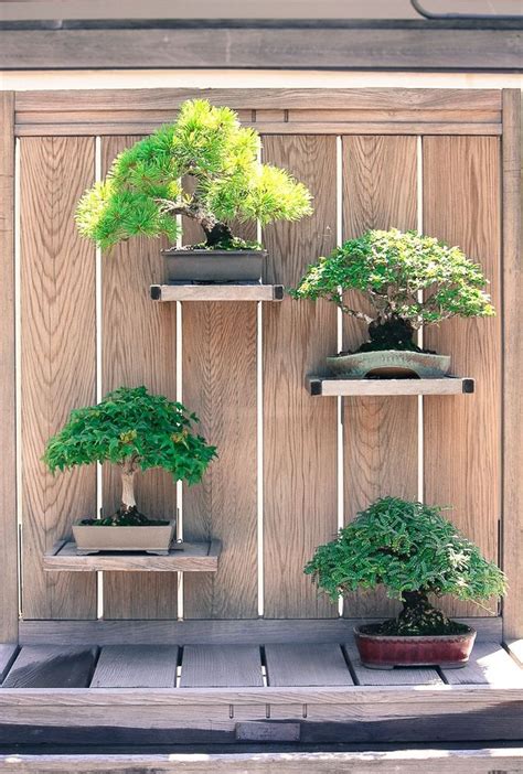 Stunning Bonsai Garden Ideas Best For Outdoor Decor 30 Trendehouse Bonsai Garden Indoor