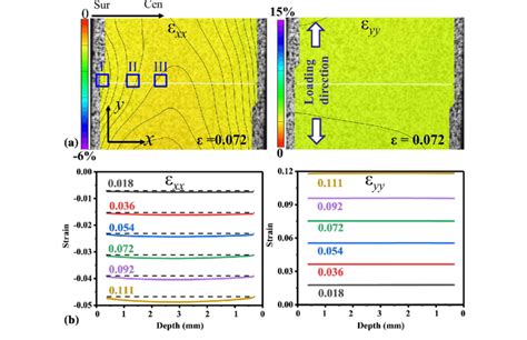 Strain Distribution Measured By In Situ Dic Technique A E Xx And E