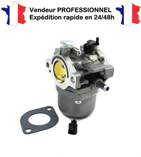 Carburateur Pour Briggs Stratton Moteur