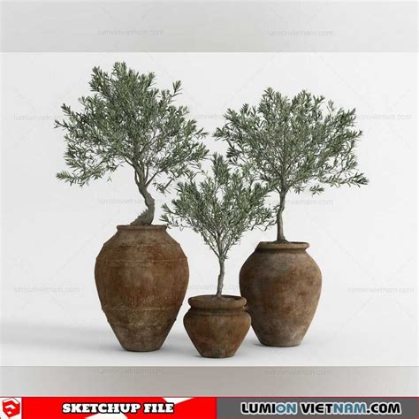 Plant Pots Sketchup Models By Cuong Covua