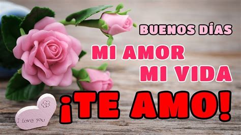 BUENOS DÍAS MI AMOR MI VIDA ÁBRELO ESTE MENSAJE ES PARA TI TE AMO