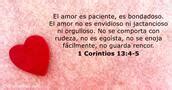 Filipenses Vers Culo De La Biblia Dailyverses Net