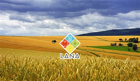ООО "СПП ЛАНА" - Home | Facebook