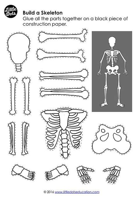 Simple Skeleton Worksheet For Kindergarten