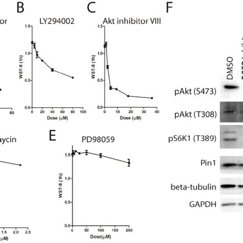 Inhibition Of EGFR PI3K Akt Pathway Attenuates WST 8 Reduction A E