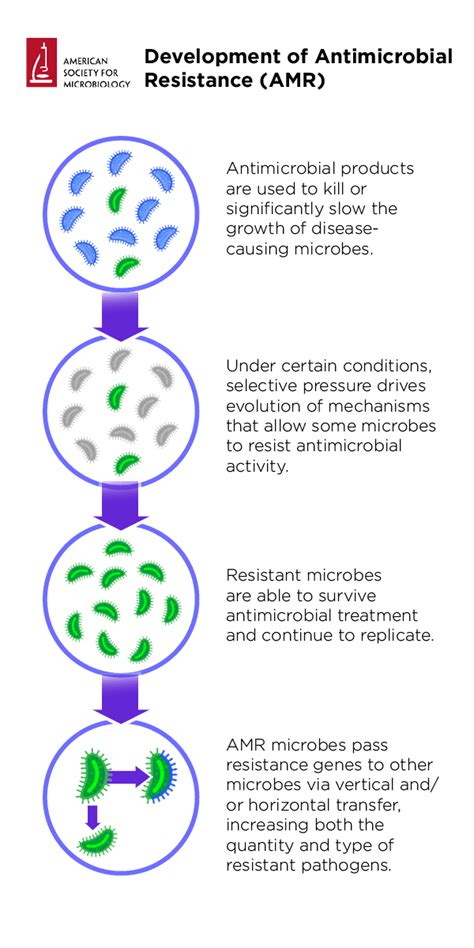 Antimicrobial Resistance