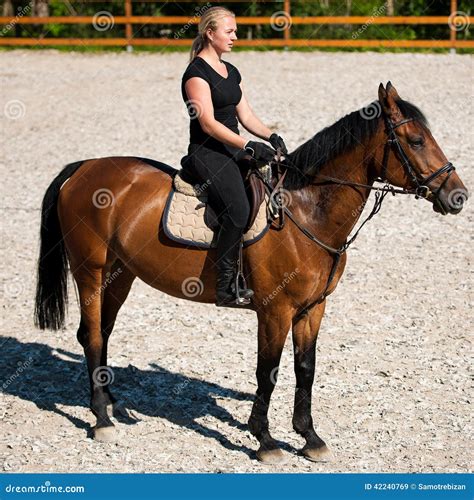 Belle Jeune Femme Blonde Montant Un Cheval Image Stock Image Du