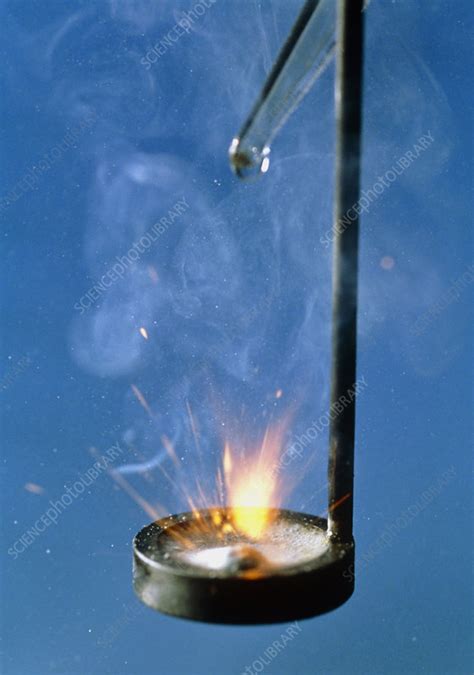 Sodium Reacting With Water Stock Image A500 0221 Science Photo