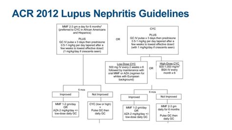 Lupus Nephritis Guideline Review 2022