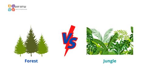 Forest Vs. Jungle: What's The Difference? - DiffBTW