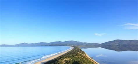 Bruny Island Birds Wildlife And Conservation Walk