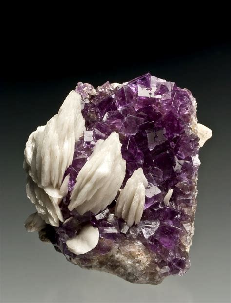 Mineral Masterpiece Minerals Crystals Rocks Minerals And Gemstones