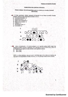 Relaci N Problemas Gen Tica I Pdf