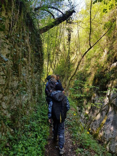 Jandarmeria Romana Un bebeluș patru copii și părinții lor au fost