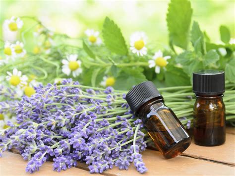 Essential Oils For Migraines Headaches Andrew Weil M D