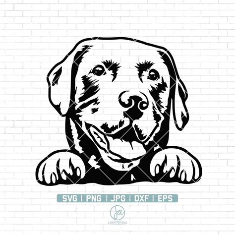 Labrador Retriever Svg Labrador Svg Black Labrador Svg Doggo Svg Doge