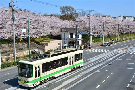 【関東】子連れでおでかけ！小さな子ども・赤ちゃんと楽しめるおすすめスポット55選 ｜じゃらんニュース