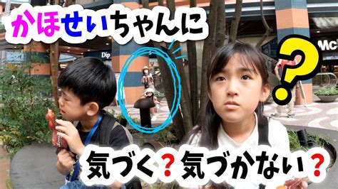 あちゃぎんは気づくかほせいちゃんがずっと近くに 有名YouTuber