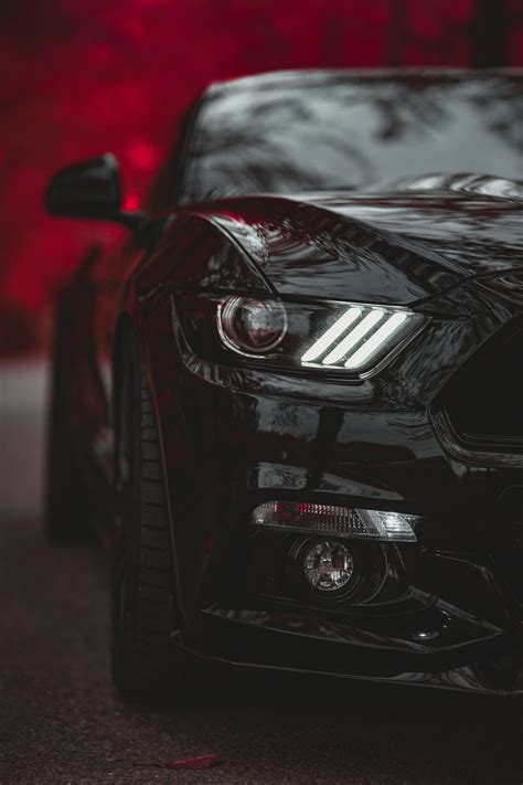 Share More Than 88 Black Mustang Wallpaper Super Hot Vn