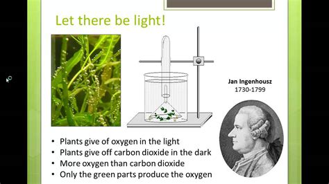 Photosynthesis History Lesson Part 2 Youtube