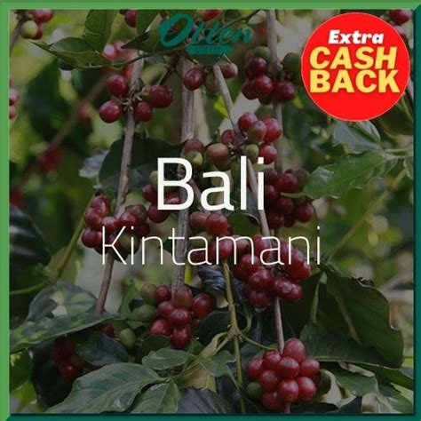 Jual Green Bean Kopi Arabica Bali Kintamani 1 Kg Biji Kopi Mentah