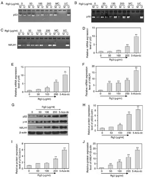 Ginsenoside Rg3 Inhibits Methylation Levels In Ovarian Cancer Cells