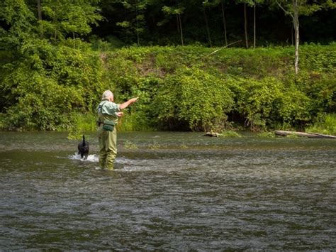 Fly Fishing In Pennsylvania An Anglers Guide Into Fly Fishing