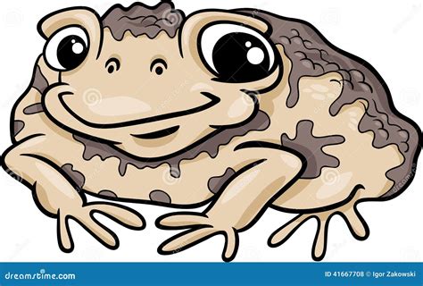 Toad Amphibian Cartoon Illustration Stock Vector Illustration Of