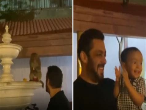 Salman Khan Fed Biscuits And Banana To Monkey With Niece Ayat