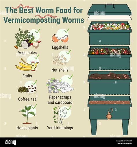 Infographic Of Vermicomposting What To Compost Worm Composting