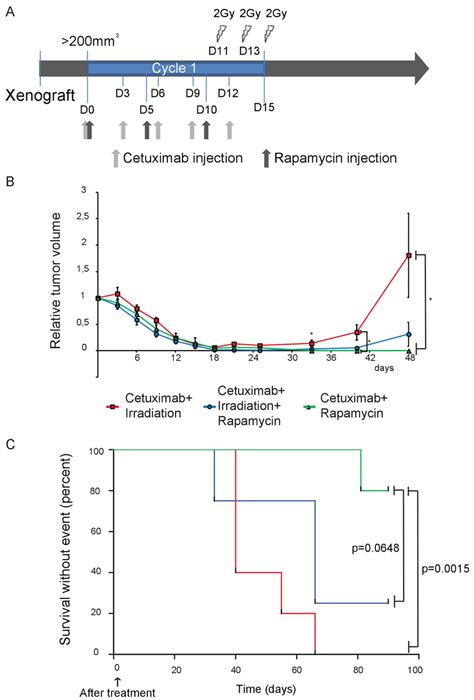 Radiation Therapy Accelerates Tumor Relapse Of Resistant Sq B