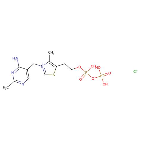 Ft Thiamine Pyrophosphate Biosynth