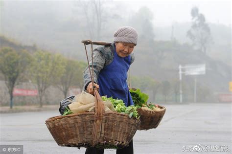 贵州81岁老奶奶冒雨卖菜，步行4公里收入只有7元钱，还收到过假钱 贵州 卖菜 老人 新浪新闻