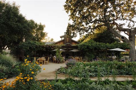 8 Sustainable Santa Ynez Valley Wineries To Visit