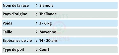 Siamois Caractéristiques Caractère Santé Chats et Chiens