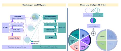 Bidirectional Closed Loop Brain Interface Left Classical Open Loop