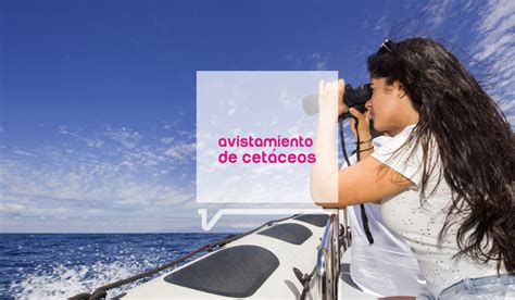 Paseo en barco con avistamiento de cetáceos