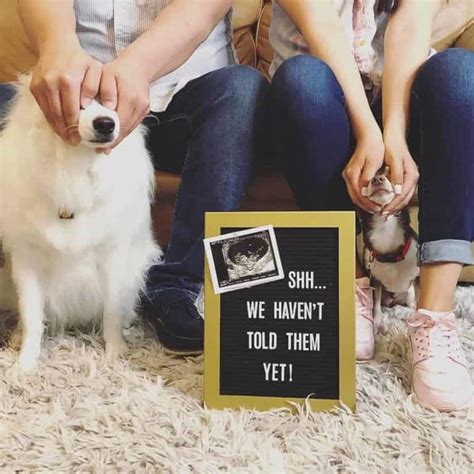 27 Fun Ways To Announce Your Pregnancy On Social Media