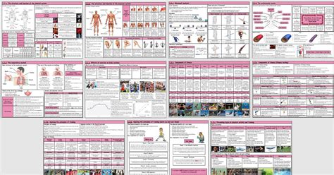 Gcse Pe Ocr 9 1 Complete Component 01 Knowledge Organisers