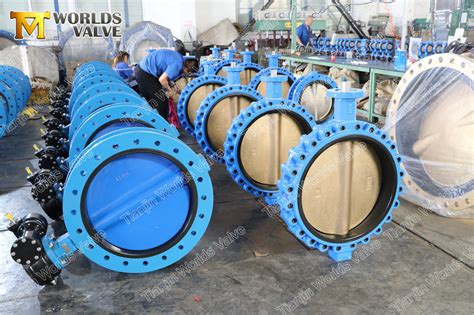 Pn10 Pn16 Pn25 Lugged And Tapped Butterfly Valve With Ali Bronze Disc For Sea Water China