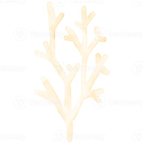 cute sea coral  png