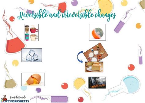 Reversible And Irreversible Changes Activity Live, 54% OFF 